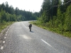 14. Dikke stront (2)